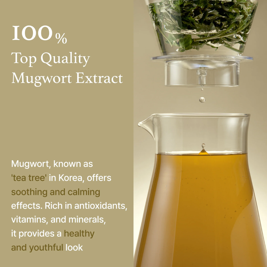 [I'M FROM] Mugwort Essence