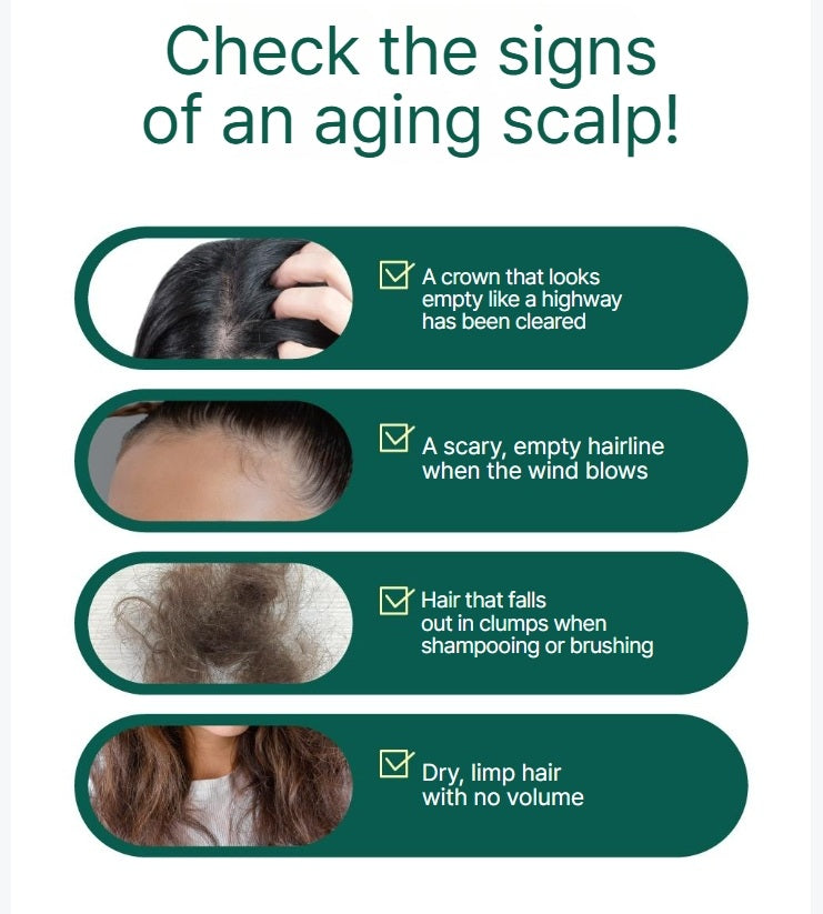 [ROUND LAB] PINE CALMING CICA SCALP AMPOULE 15ml